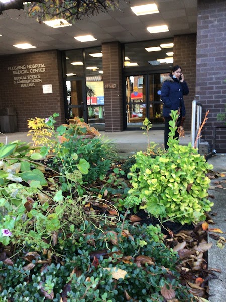 Flushing Hospital Psychiatric Clinic - Mental health facility in Flushing