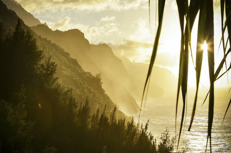 Wellness Partners Mental Health - Mental health facility in Honolulu