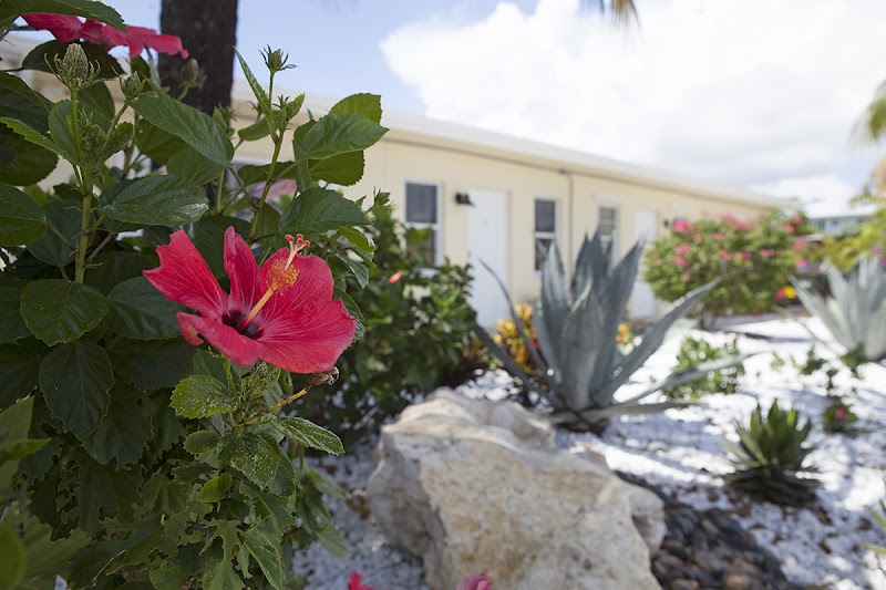 Florida Recovery Group - Mental health facility in Delray Beach