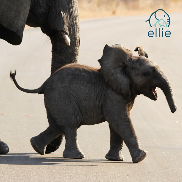 Ellie Mental Health - Mental health facility in San Antonio