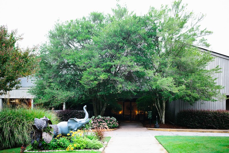 Ridgeview Institute Smyrna - Mental health facility in Smyrna