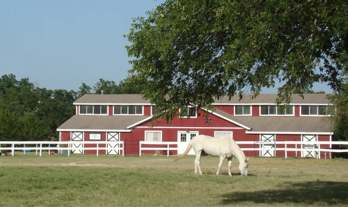 Paws For Reflection Ranch - Mental health facility in Midlothian