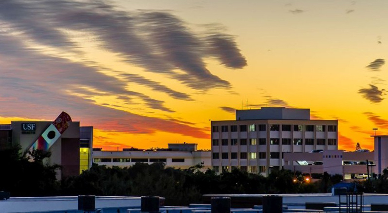 USF Health Rothman Center - Pediatric Neuropsychiatry - Mental health facility in St. Petersburg
