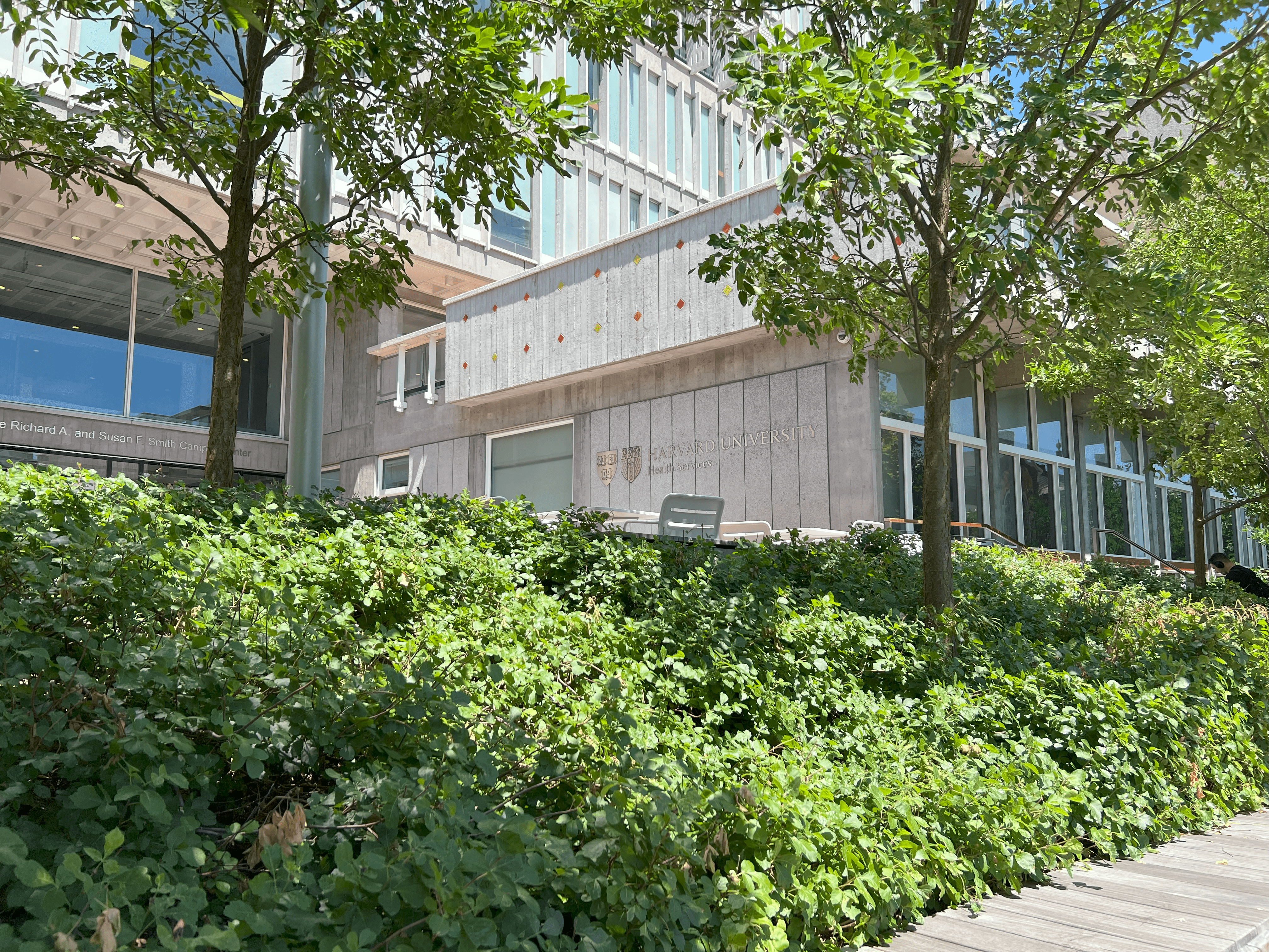 Harvard University Mental Health Services - Mental health facility in Cambridge